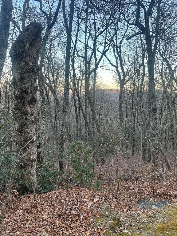 00 Zeb Buchanan Rd, Cullowhee, NC 28723 - photo 3