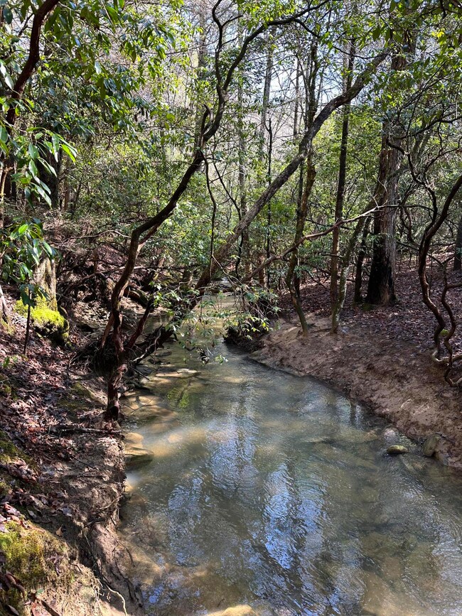 Tract 16 Thomas Springs Rd, Crossville, TN 38572 - photo 3