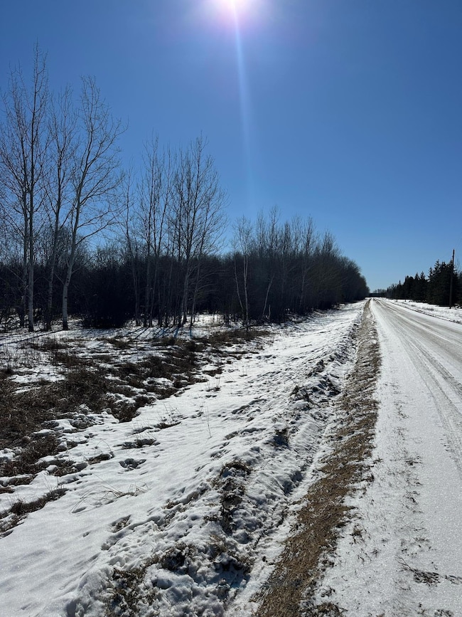 TBD 8th St NW, Baudette Township, MN 56623 - photo 3