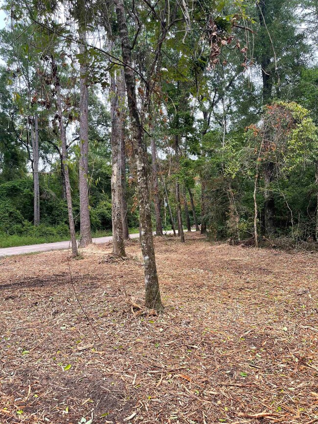 0 Palomino Rd, Crawfordville, FL 32327 - photo 7