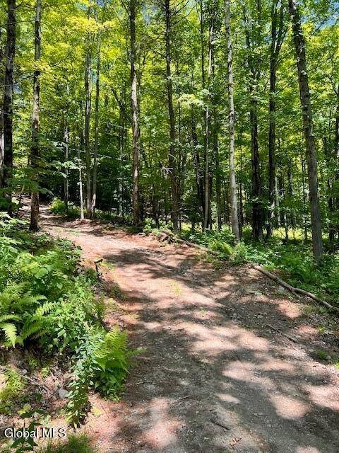 L7.41 Summit Lake Rd unit l7, Argyle, NY 12809 - photo 3