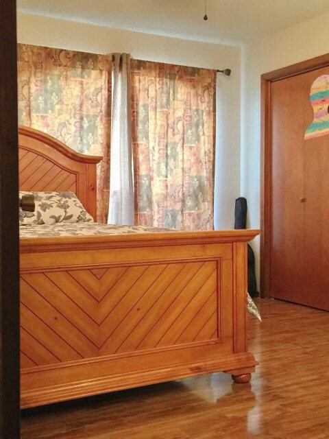 824 Meadow Wood Dr, Donna, TX 78537 - photo 6