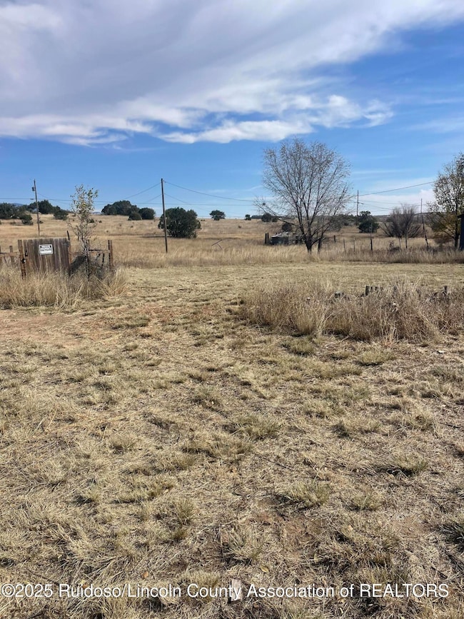 109 Salado Rd, Capitan, NM 88316 - photo 6