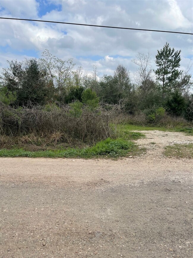 TBD Ibis Rd, Hockley, TX 77447 - photo 4