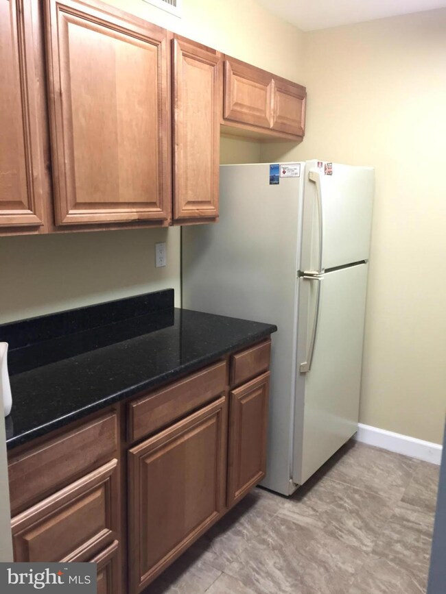 5835 Cove Landing Rd unit 302, Burke, VA 22015 - photo 6