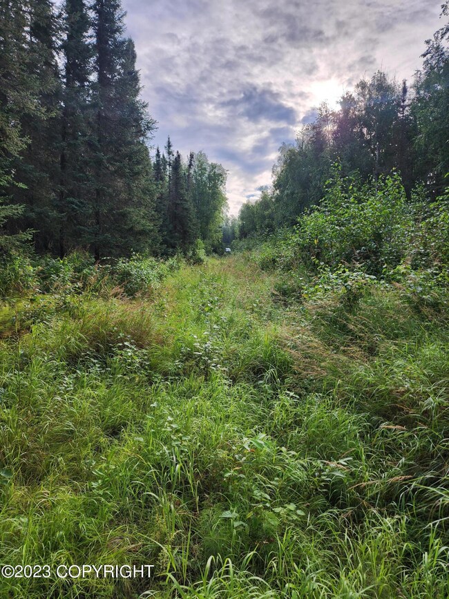 'Road' on Lot
