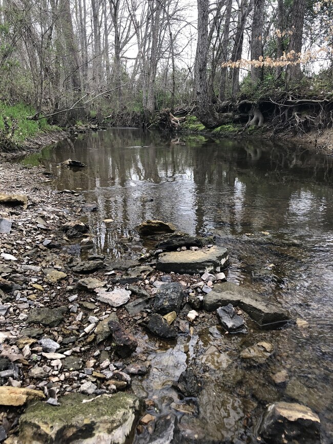 0 Duncan Rd, Manchester, TN 37355 - photo 7