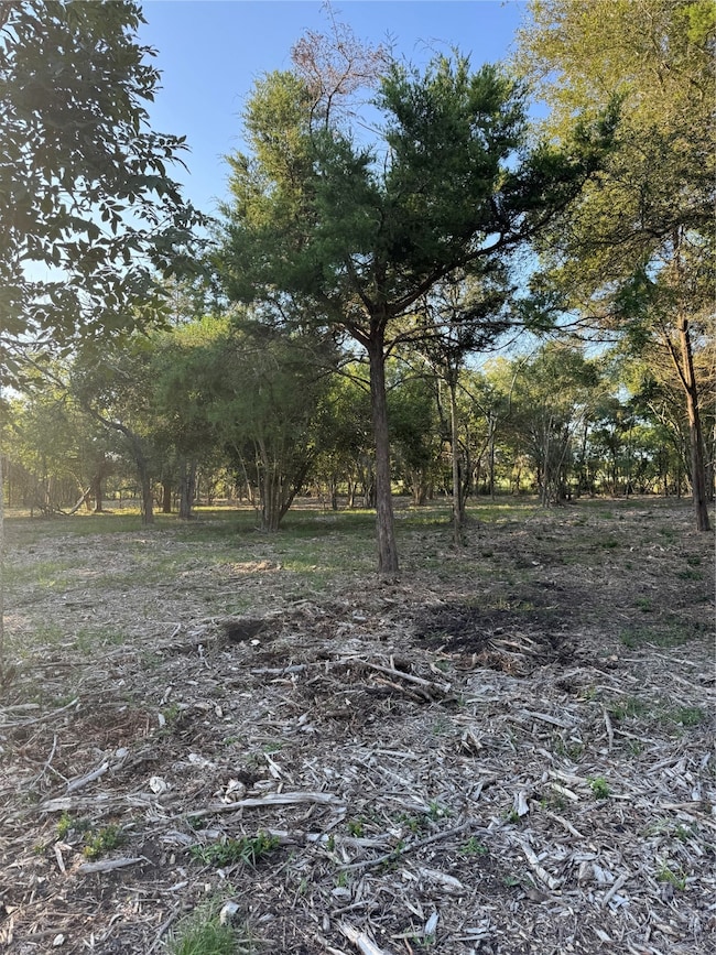 Lot 26 Winding Branch, Chappell Hill, TX 77426 - photo 5