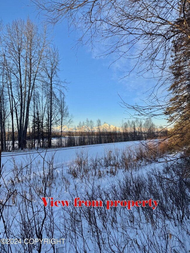 View from property