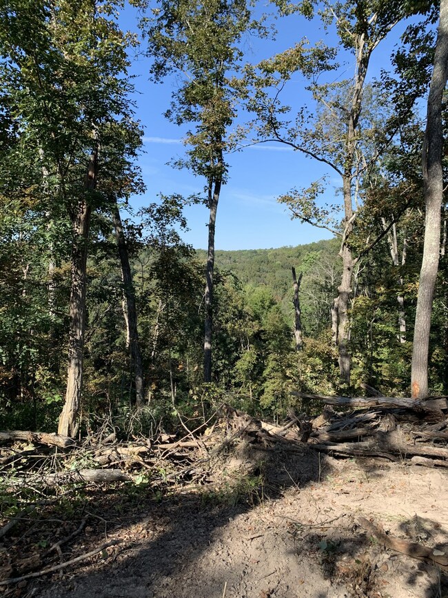 0 Hester Beasley Rd unit RTC2498520, Nashville, TN 37221 - photo 4