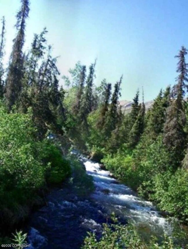River in summer