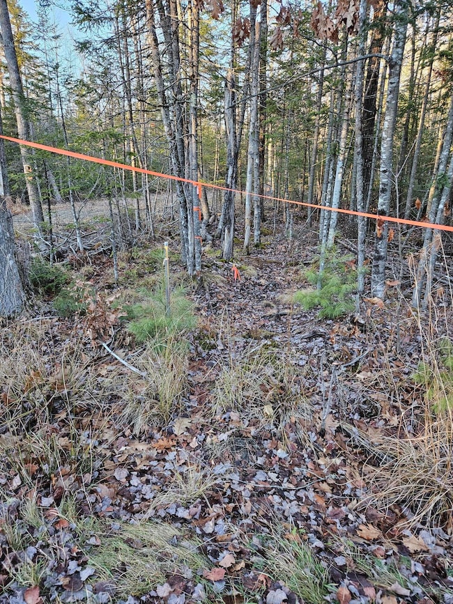 199 Poplar St, Old Town, ME 04468 - photo 6