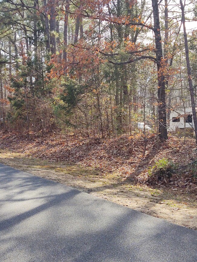 100 Ojibwa Dr, Louisburg, NC 27549 - photo 3