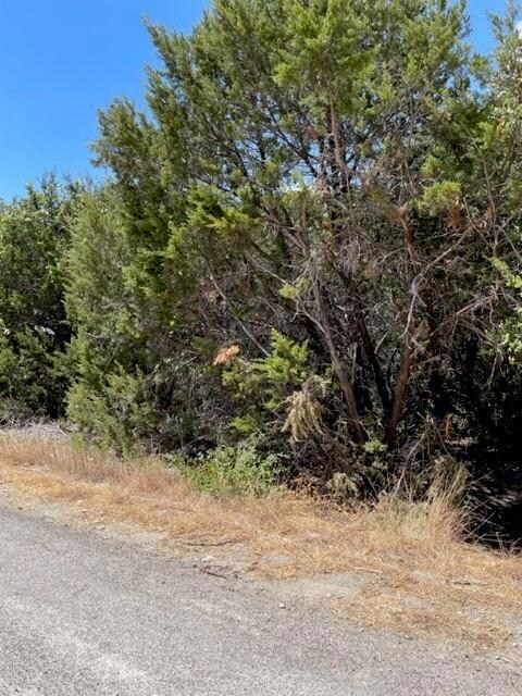 Tract 81 and 92 Bronco Ln, Weatherford, TX 76087 - photo 4