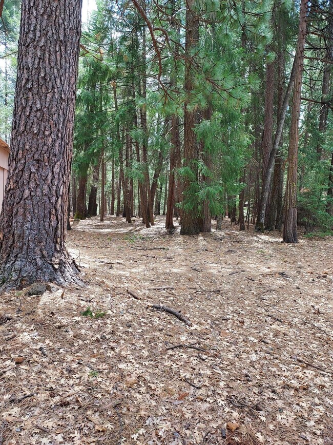 Wooded