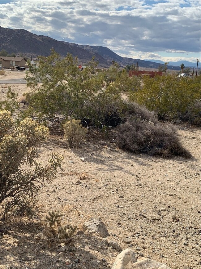 0 Persia Ave unit JT22042991, Twenty-Nine Palms, CA 92277 - photo 4