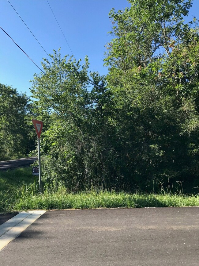 0 Heather Dr unit 96714103, Brazoria, TX 77422 - photo 2