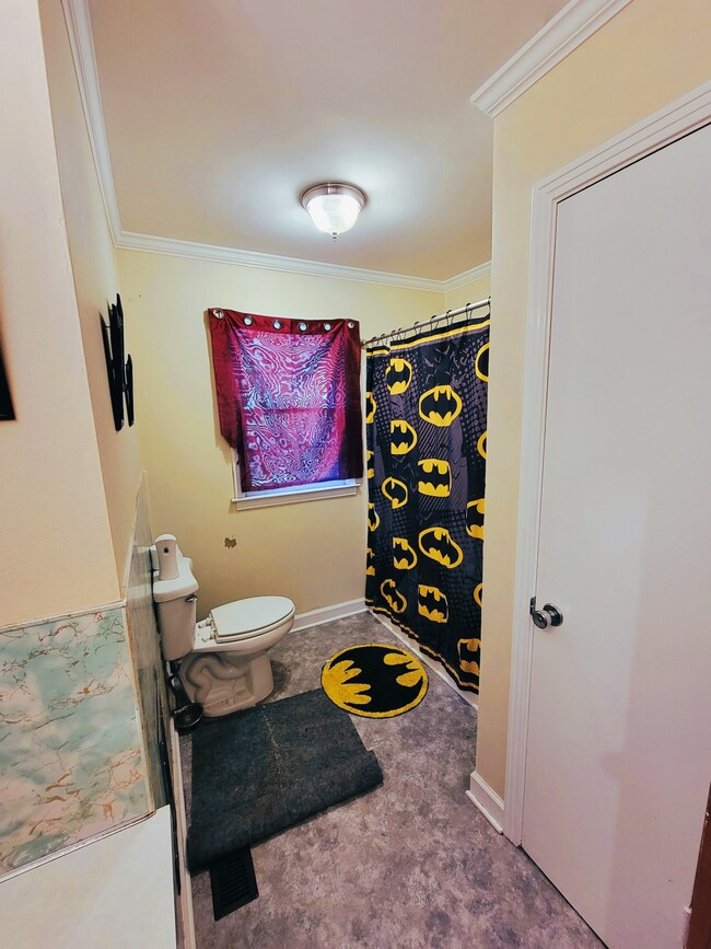 1315 Birch St, Shelbyville, TN 37160 - photo 7