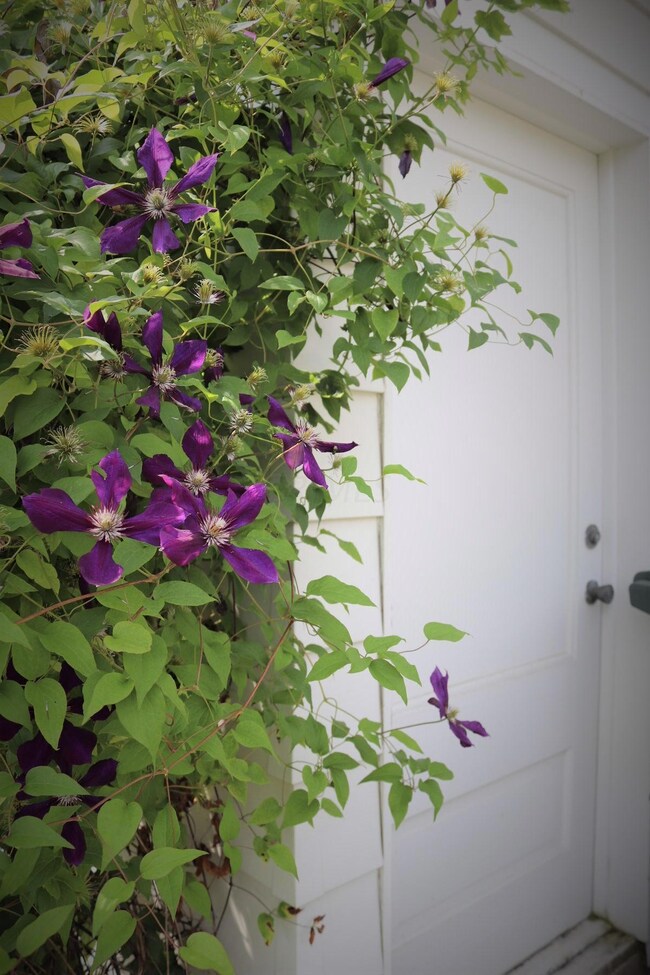 Beautiful perennials throughout
