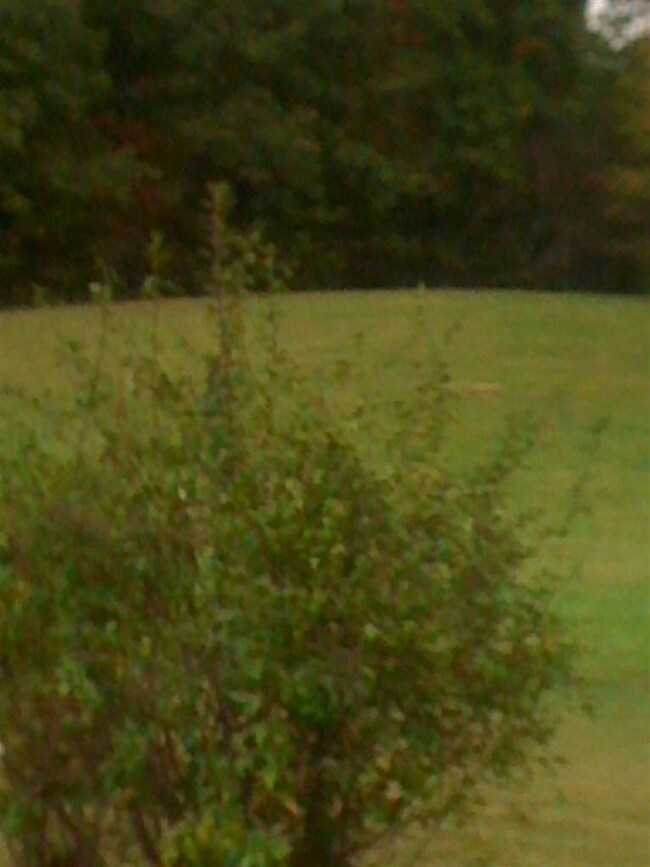 1381 Ingram Rd, Annville, KY 40402 - photo 3