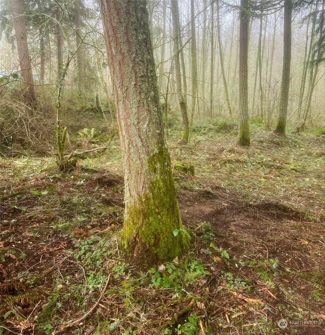 36114 108th Avenue Ct E, Clear Lake, WA 98328 - photo 5