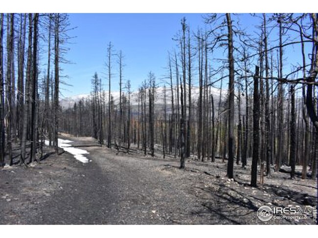 0 Crystal Mountain Rd unit 939671, Bellvue, CO 80512 - photo 2