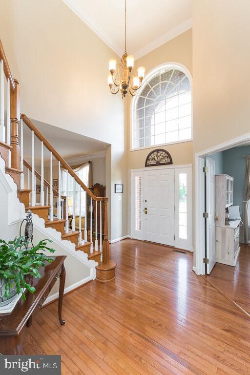 42566 Pelican Dr, Chantilly, VA 20152 - photo 6