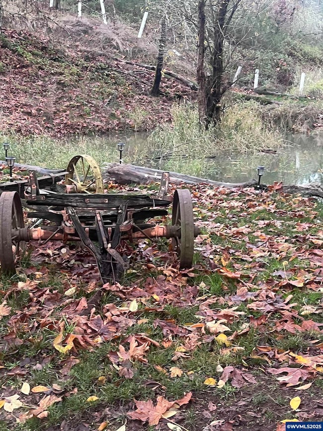 4555 Lobo Ln NE, Silverton, OR 97381 - photo 3