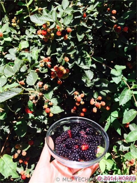 unlisted-address, Pryor, OK 74361 - photo 7