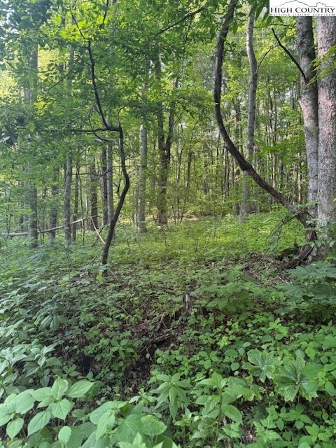 Lot 10 Billy Bob Ln, Creston, NC 28615 - photo 2