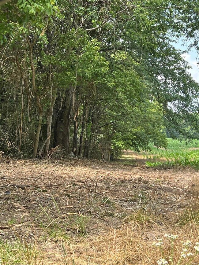 unlisted-address, Freeburg, IL 62243 - photo 5