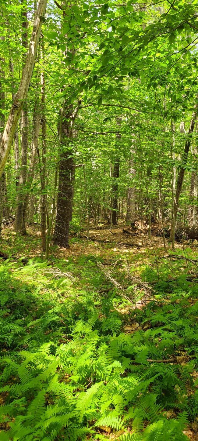 579 Paris Hill Rd, Buckfield, ME 04220 - photo 5