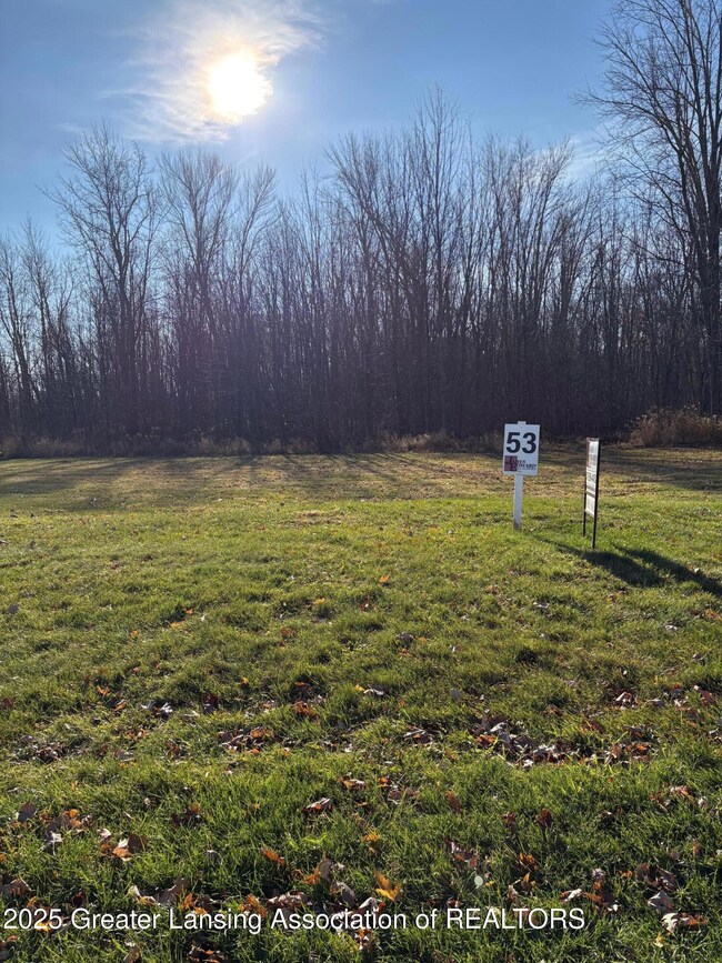 Lot 53 Doe Pass, Lansing, MI 48917 - photo 5