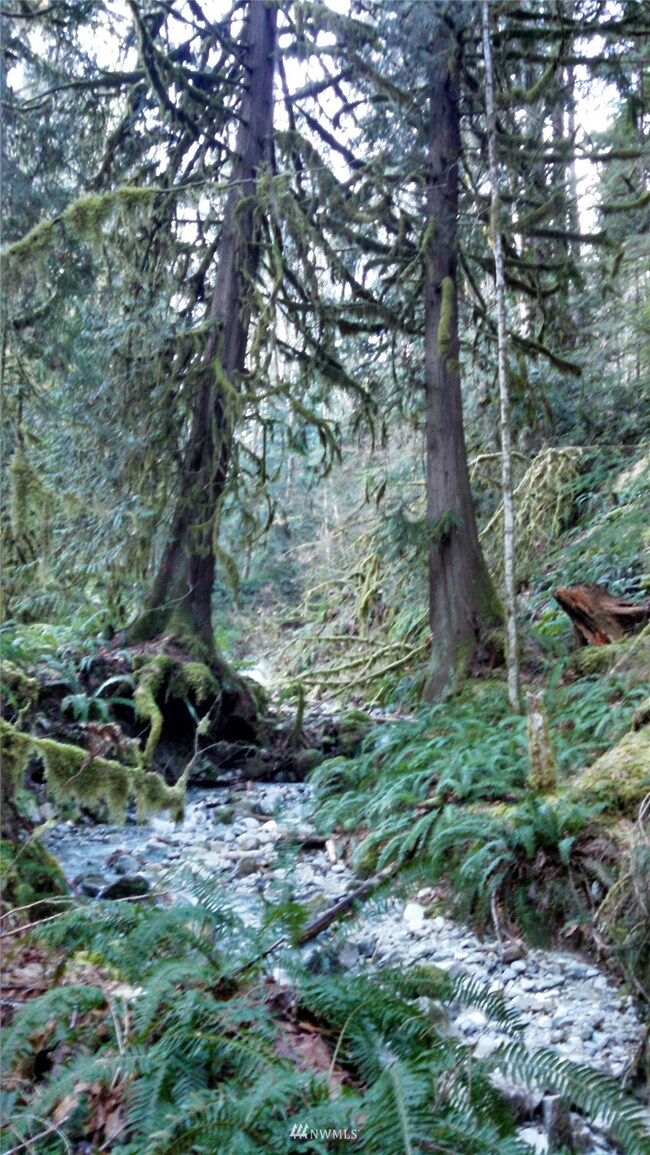 0 Lookout Mountain Loop unit 1-167 NWM1961616, Marblemount, WA 98267 - photo 2