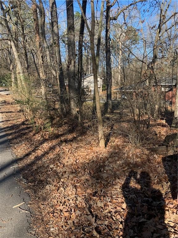 0 Ward Rd unit 7174145, Union City, GA 30291 - photo 3