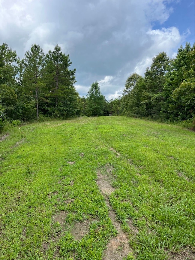 63 Hattie Winston Rd unit LotWP001, Lumberton, MS 39455 - photo 6