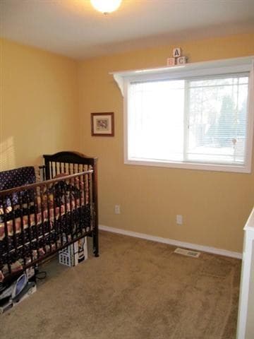 15318 N Neptune St, Mead, WA 99021 - photo 6