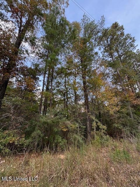 0 Coons Mill Rd, Centreville, MS 39631 - photo 2