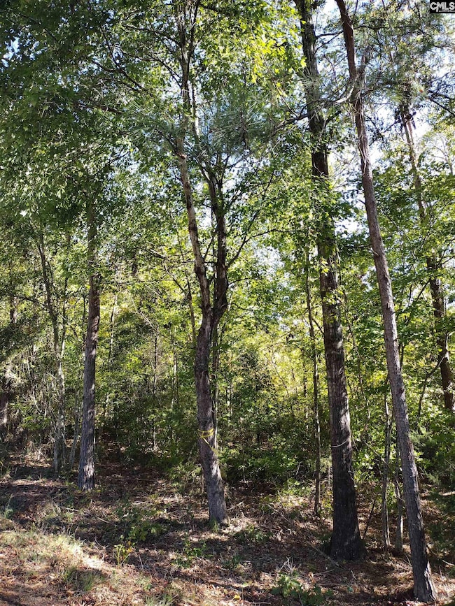 TBD Sam Koon Rd, Little Mountain, SC 29075 - photo 7