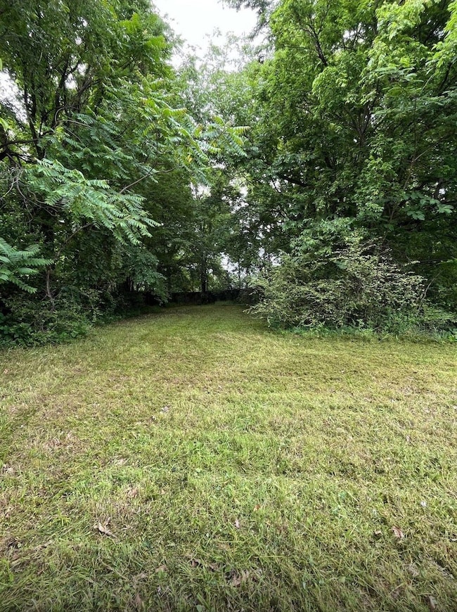 View of grassy yard