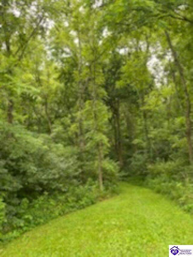 321 Fields Ln, Clarkson, KY 42726 - photo 6