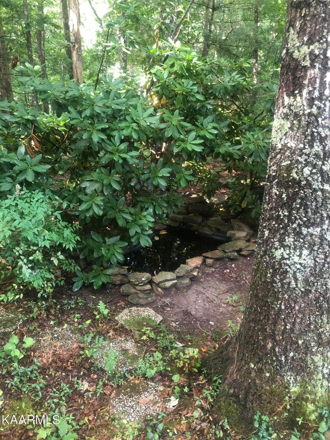 250 Saint George Dr, Crossville, TN 38558 - photo 5