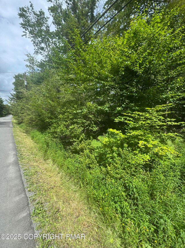 0 Redwood Rd 14 unit PM-134062, Blakeslee, PA 18610 - photo 4