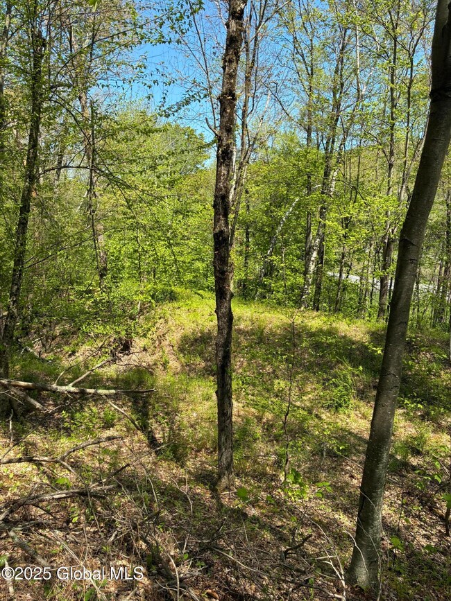 L21.3 County Route 5 & I90, Canaan, NY 12060 - photo 5