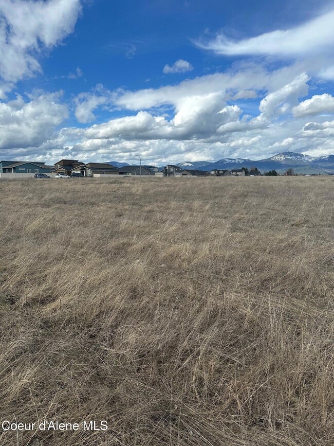 Tullamore Commercial