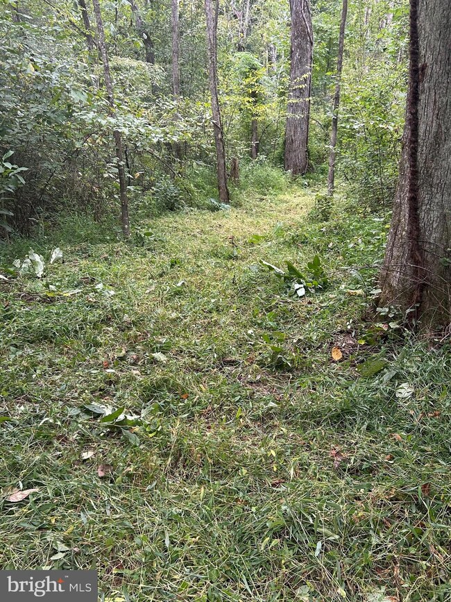 0 Luttrellville Ln unit VARV2000552, Farnham, VA 22460 - photo 6