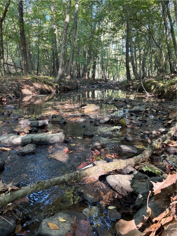 000 Quicker Still Ln, Dover, AR 72837 - photo 5