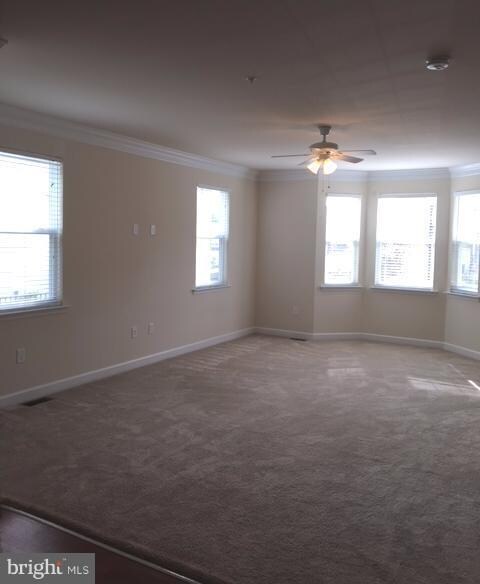 462 English Oak La, Prince Frederick, MD 20678 - photo 6