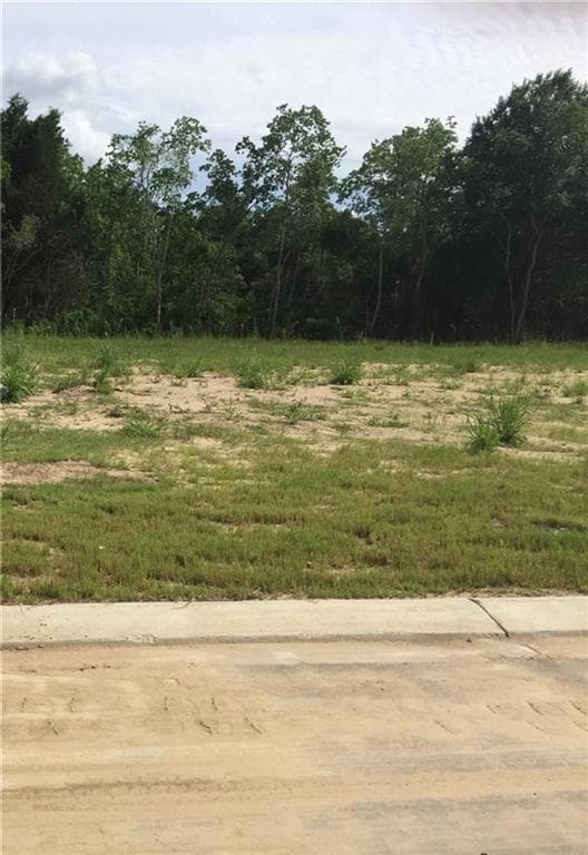 116 Snowy Egret Dr, Lake Charles, LA 70615 - photo 2