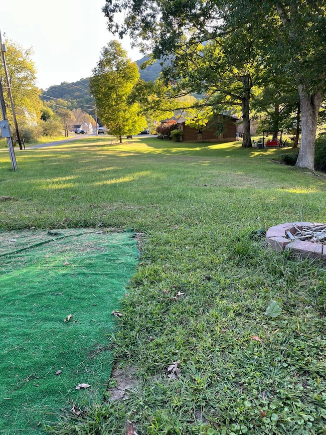 382 Osborne Dr, Rainelle, WV 25962 - photo 5